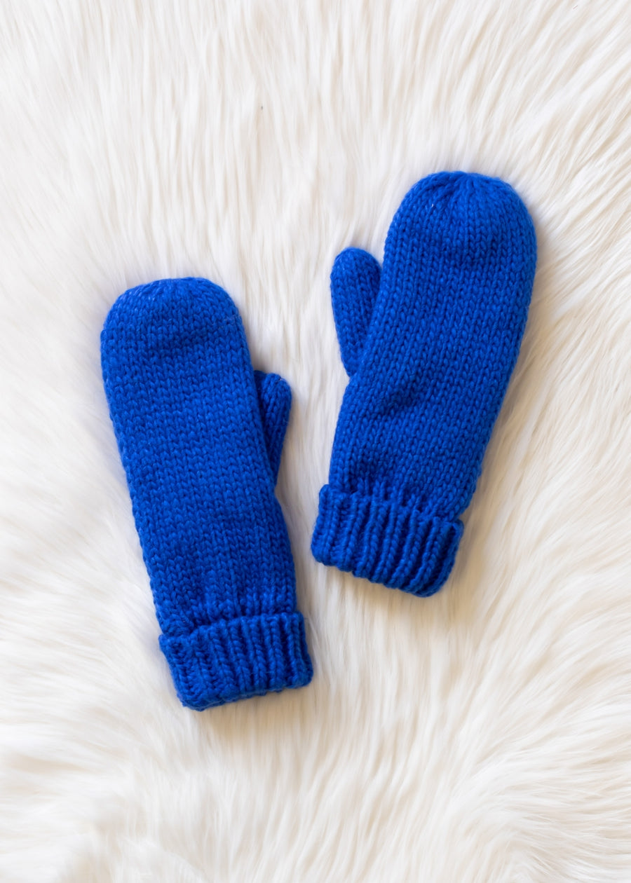 Pair of royal blue mittens on a white fur surface