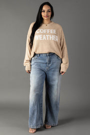 A woman with long dark hair smiles softly against a gray background, wearing Panache Apparel Collection's Tan & Ivory Coffee Weather Lightweight Sweater and loose blue jeans.