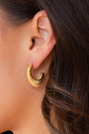 Luxe Gold Coil Rounded Hoops