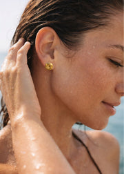E-1166_GOLD