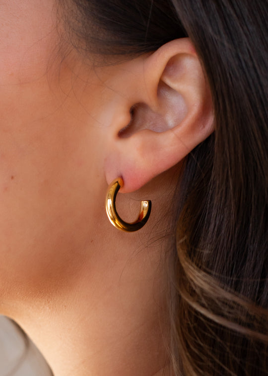 Luxe Gold Small Hoops